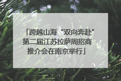 跨越山海“双向奔赴” 第二届江苏拉萨周招商推介会在南京举行