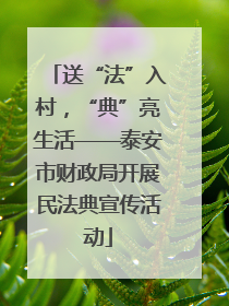 送“法”入村，“典”亮生活——泰安市财政局开展民法典宣传活动
