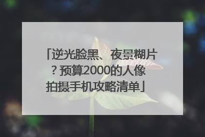 逆光脸黑、夜景糊片？预算2000的人像拍摄手机攻略清单
