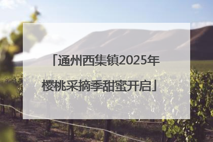 通州西集镇2025年樱桃采摘季甜蜜开启