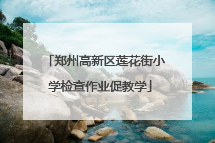 郑州高新区莲花街小学检查作业促教学