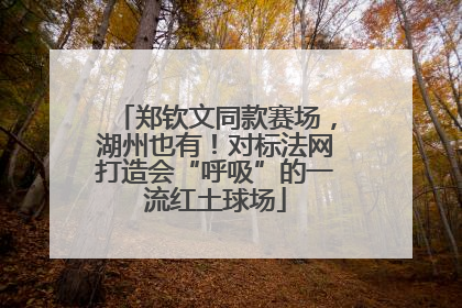 郑钦文同款赛场，湖州也有！对标法网打造会“呼吸”的一流红土球场