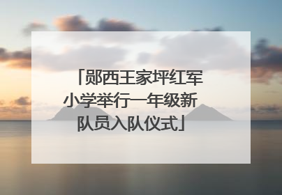 郧西王家坪红军小学举行一年级新队员入队仪式