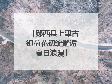郧西县上津古镇荷花初绽邂逅夏日浪漫