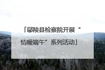 鄢陵县检察院开展“情暖端午”系列活动