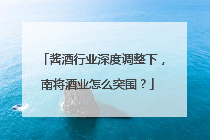 酱酒行业深度调整下，南将酒业怎么突围？