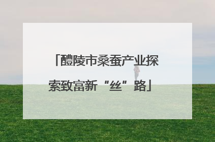 醴陵市桑蚕产业探索致富新“丝”路
