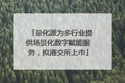 量化派为多行业提供场景化数字赋能服务，拟港交所上市