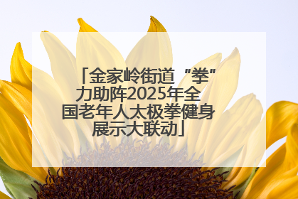 金家岭街道“拳”力助阵2025年全国老年人太极拳健身展示大联动