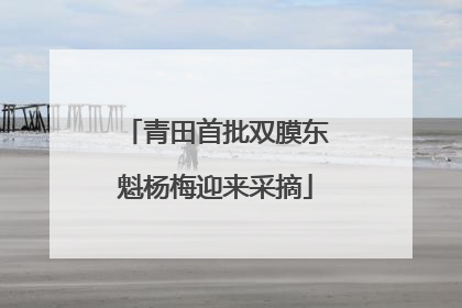 青田首批双膜东魁杨梅迎来采摘