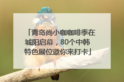 青岛尚小咖咖啡季在城阳启幕，80个中韩特色展位邀你来打卡