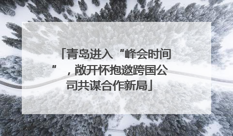 青岛进入“峰会时间”，敞开怀抱邀跨国公司共谋合作新局