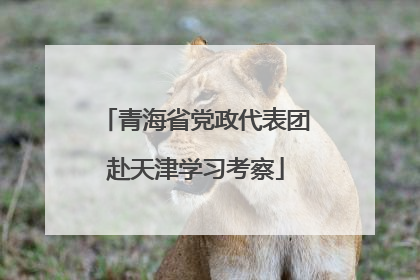 青海省党政代表团赴天津学习考察