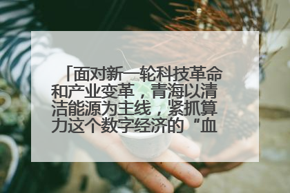 面对新一轮科技革命和产业变革，青海以清洁能源为主线，紧抓算力这个数字经济的“血液”、科技主权的“筹码”、产业升级的“杠杆”、绿色转型的“支点”，勇于撬动国家“双碳”战略、“东数西算”工程重大发展新机遇