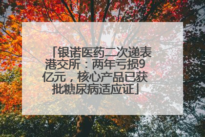 银诺医药二次递表港交所：两年亏损9亿元，核心产品已获批糖尿病适应证