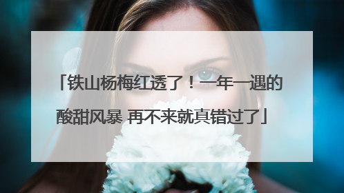 铁山杨梅红透了！一年一遇的酸甜风暴 再不来就真错过了