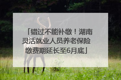 错过不能补缴！湖南灵活就业人员养老保险缴费期延长至6月底