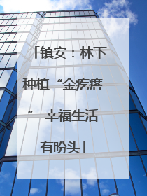 镇安：林下种植“金疙瘩” 幸福生活有盼头