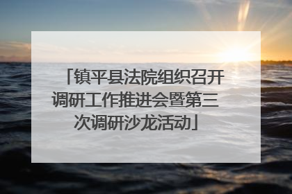 镇平县法院组织召开调研工作推进会暨第三次调研沙龙活动