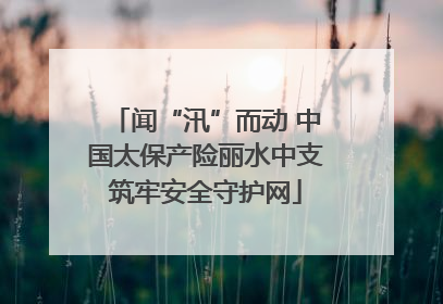 闻“汛”而动 中国太保产险丽水中支筑牢安全守护网