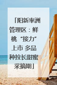 阳新率洲管理区：鲜桃“接力”上市 多品种拉长甜蜜采摘期