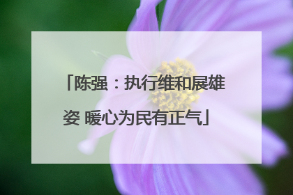 陈强：执行维和展雄姿 暖心为民有正气