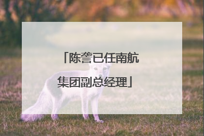 陈詟已任南航集团副总经理