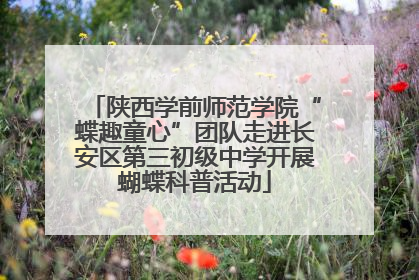 陕西学前师范学院“蝶趣童心”团队走进长安区第三初级中学开展蝴蝶科普活动