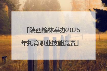 陕西榆林举办2025年托育职业技能竞赛