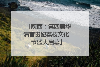 陕西：第四届华清宫贵妃荔枝文化节盛大启幕