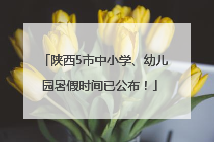 陕西5市中小学、幼儿园暑假时间已公布！