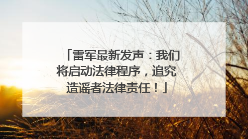 雷军最新发声：我们将启动法律程序，追究造谣者法律责任！