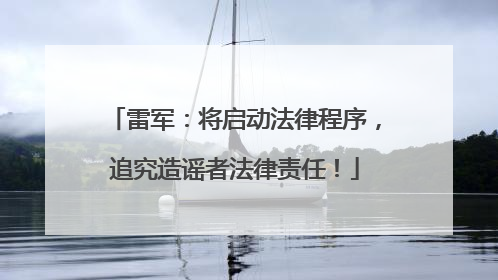 雷军：将启动法律程序，追究造谣者法律责任！
