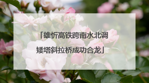 雄忻高铁跨南水北调矮塔斜拉桥成功合龙