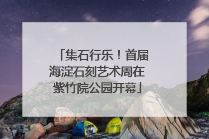 集石行乐！首届海淀石刻艺术周在紫竹院公园开幕