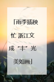 雨季插秧忙 浙江文成“丰”光美如画
