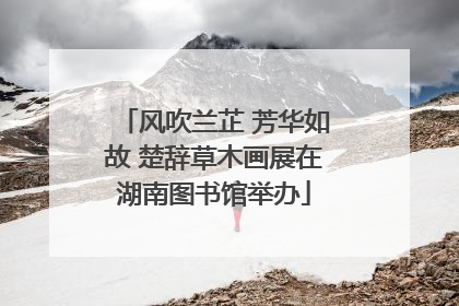 风吹兰芷 芳华如故 楚辞草木画展在湖南图书馆举办
