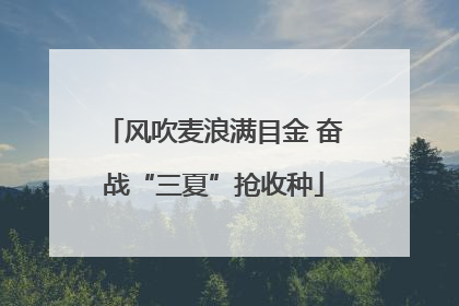 风吹麦浪满目金 奋战“三夏”抢收种