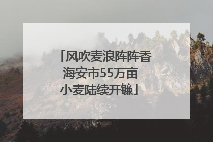 风吹麦浪阵阵香 海安市55万亩小麦陆续开镰