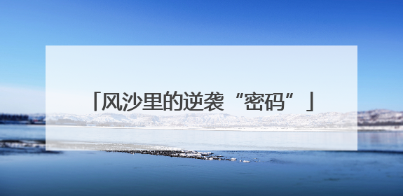 风沙里的逆袭“密码”