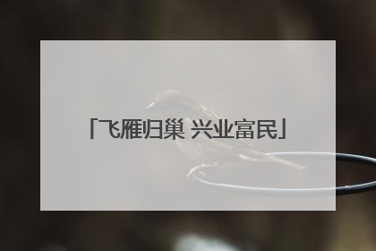 飞雁归巢 兴业富民