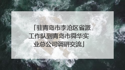 驻青岛市李沧区省派工作队到青岛市舜华实业总公司调研交流