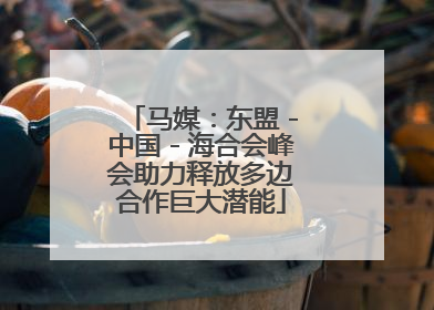 马媒：东盟－中国－海合会峰会助力释放多边合作巨大潜能