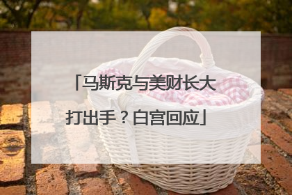 马斯克与美财长大打出手？白宫回应