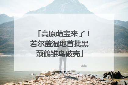 高原萌宝来了！若尔盖湿地首批黑颈鹤雏鸟破壳