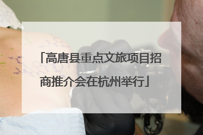 高唐县重点文旅项目招商推介会在杭州举行