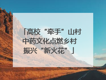 高校“牵手”山村 中药文化点燃乡村振兴“新火花”