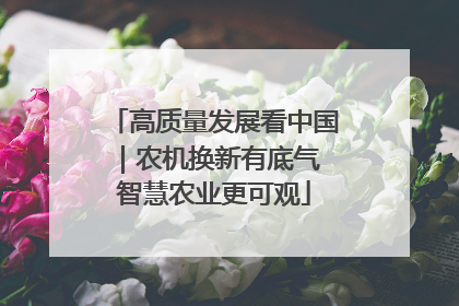 高质量发展看中国｜农机换新有底气 智慧农业更可观
