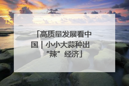 高质量发展看中国｜小小大蒜种出“辣”经济