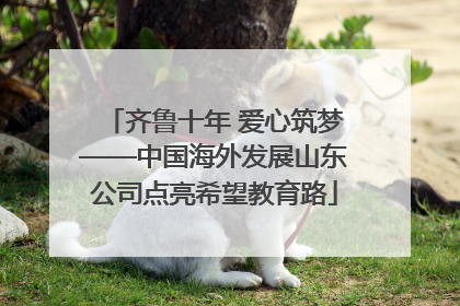 齐鲁十年 爱心筑梦——中国海外发展山东公司点亮希望教育路